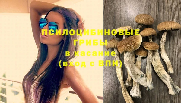 крисы Алексеевка