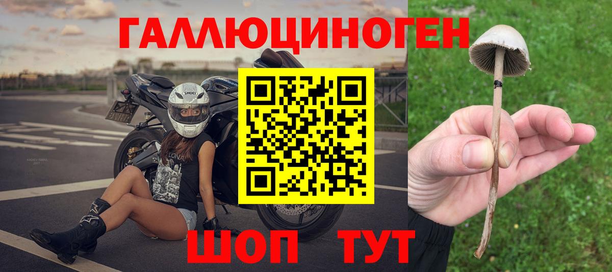 Урус-Мартан  Галлюциногенные грибы Magic Shrooms  Вход с VPN 