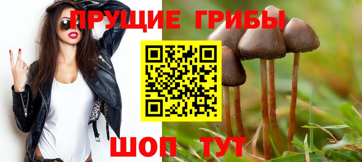 Конопля  ГАШ  Лсд 25  Alpha-PVP СК   Вход с VPN  Меф МЯУ МЯУ кристаллы  Урус-Мартан  КОКАИН 