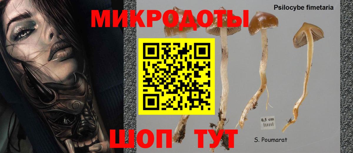 Псилоцибиновые грибы ЛСД Урус-Мартан
