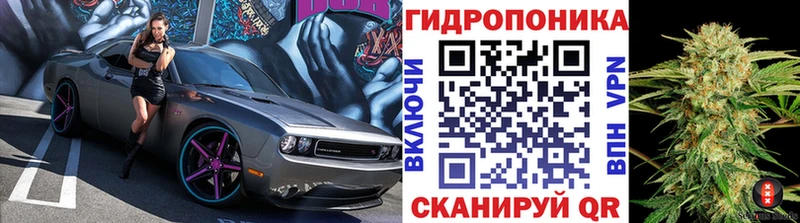МАРИХУАНА план  хочу наркоту  Урус-Мартан 